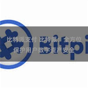 比特派支付 比特派：全方位保护用户数字资产安全