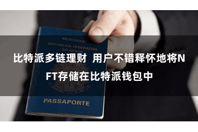 比特派多链理财  用户不错释怀地将NFT存储在比特派钱包中