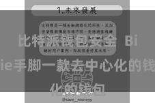 比特派钱包安全  Bitpie手脚一款去中心化的钱包