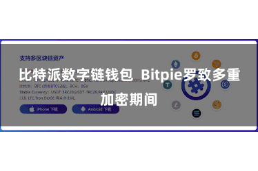 比特派数字链钱包  Bitpie罗致多重加密期间