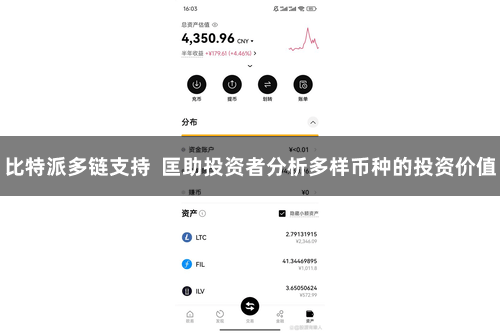 比特派多链支持  匡助投资者分析多样币种的投资价值