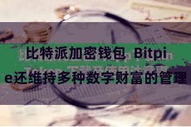 比特派加密钱包  Bitpie还维持多种数字财富的管理