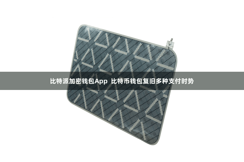比特派加密钱包App  比特币钱包复旧多种支付时势