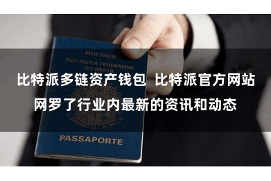 比特派多链资产钱包  比特派官方网站网罗了行业内最新的资讯和动态