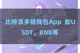 比特派多链钱包App  如USDT、BNB等