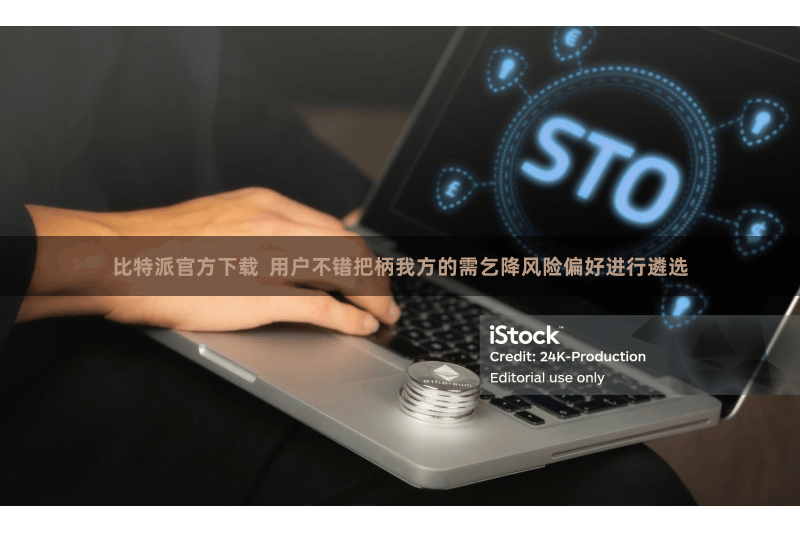 比特派官方下载  用户不错把柄我方的需乞降风险偏好进行遴选
